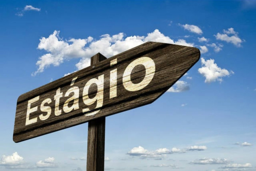 IEL Tocantins abre 43 vagas de estágio remunerado em 10 municípios do estado