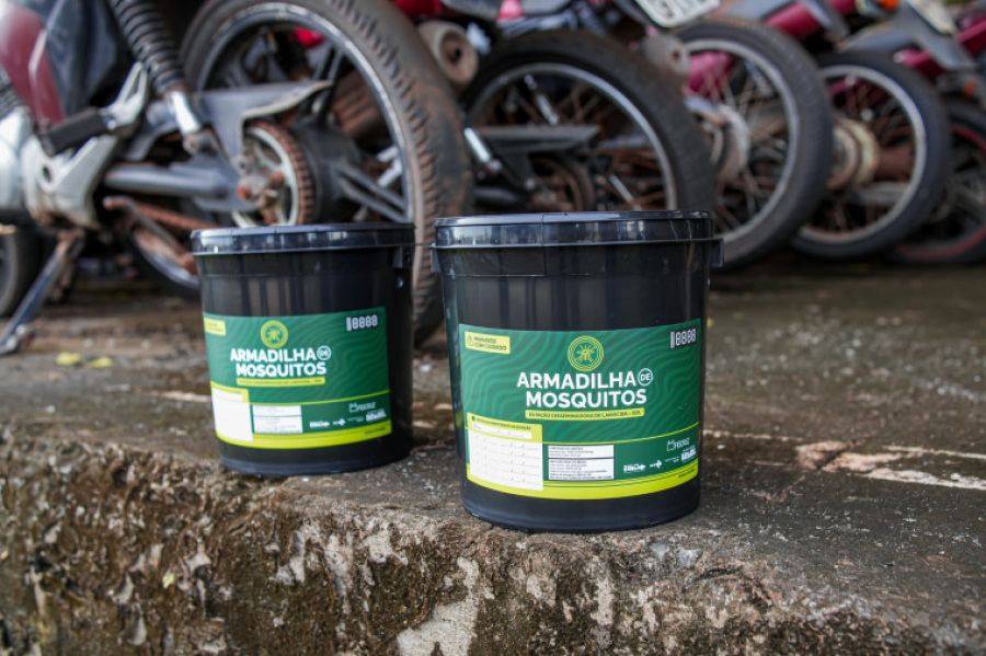 Araguaína instala armadilhas inteligentes após mais de 2,4 mil casos de dengue em 2026