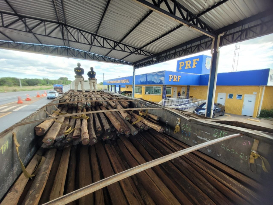 PRF APREENDE MAIS DE 27 M³ DE MADEIRA DE ESPÉCIE AMEAÇADA DE EXTINÇÃO E ENCONTRA “REBITE” COM MOTORISTA NA BR-153