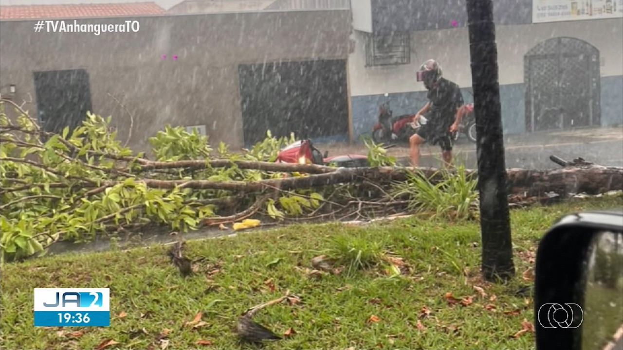 Chuva com ventos fortes derruba árvores e provoca estragos em Araguaína; Vídeo