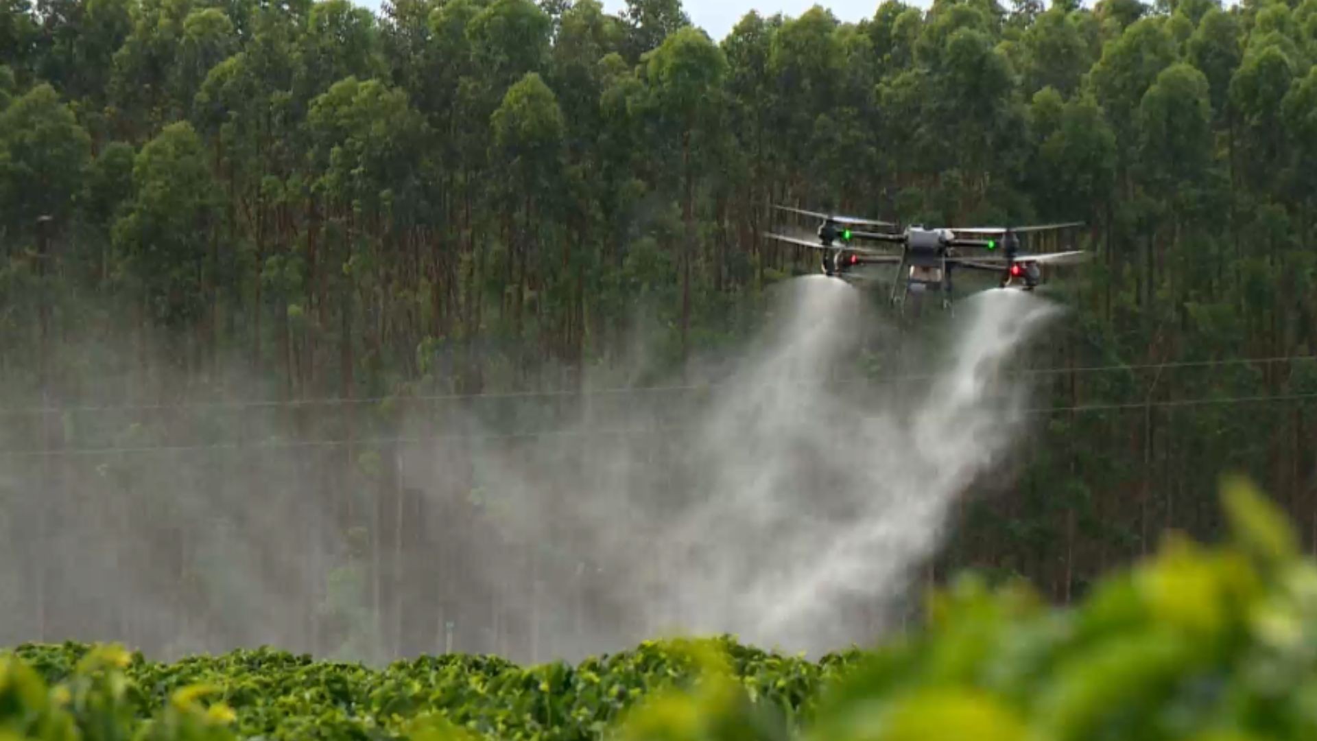 União Europeia quer flexibilizar regras para agrotóxicos; especialistas alertam para riscos